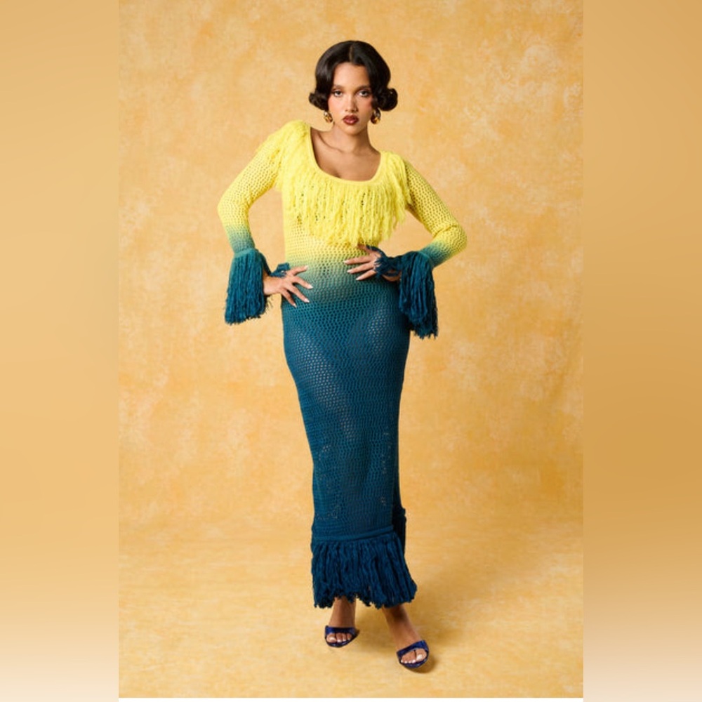 Kai collective isis fringed ombré dress BRAND NEW never worn